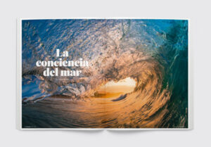 y_noviembre2016_01_600